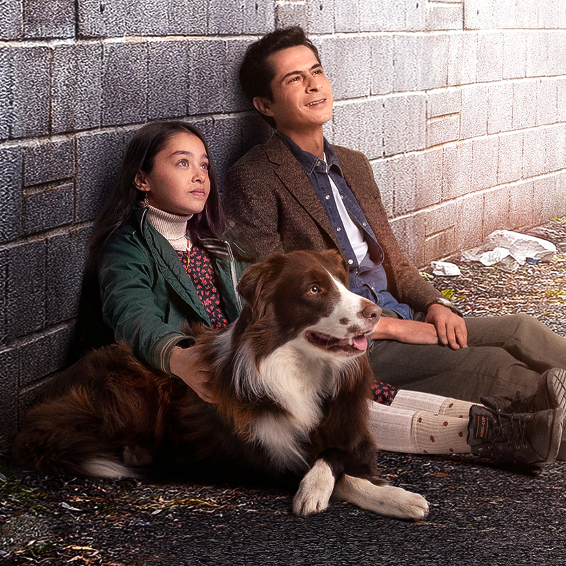 Prințesa fără coroană