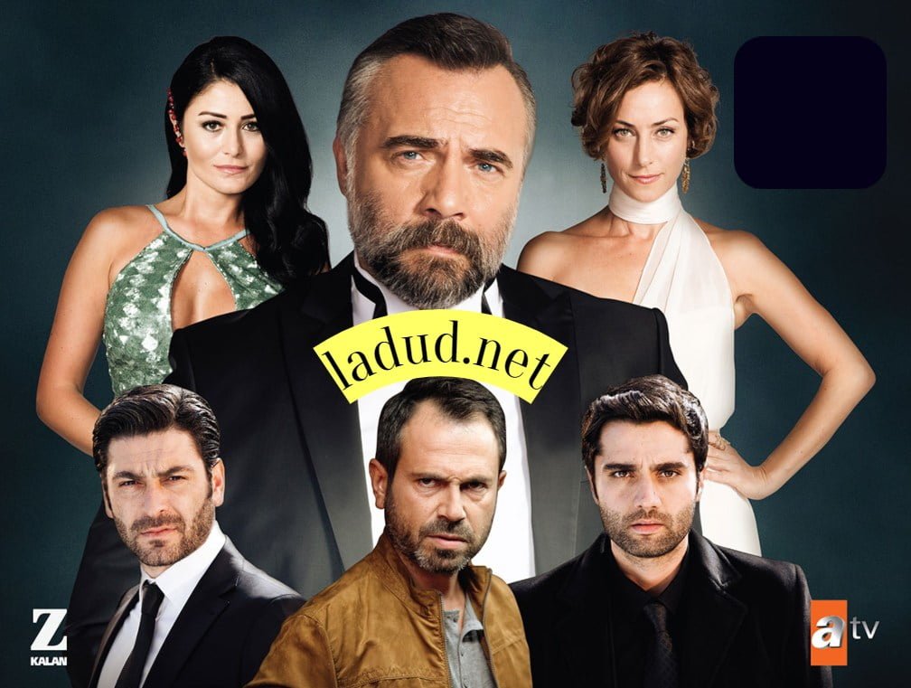 În bataia inimii serial turcesc online