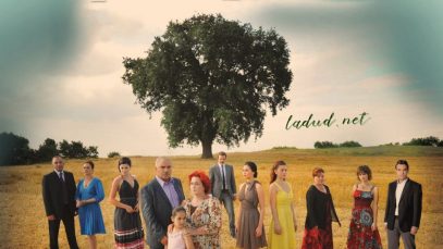 Poveste de familie, serial turcesc subtitrat romana toate episoade complet online