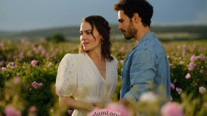 Povestea trandafirului serial turcesc de dragoste subtitrat in romana online